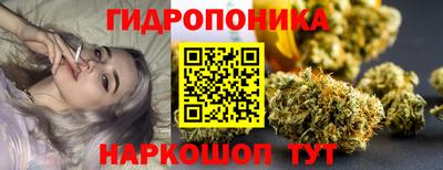ПСИЛОЦИБИНОВЫЕ ГРИБЫ Камышлов